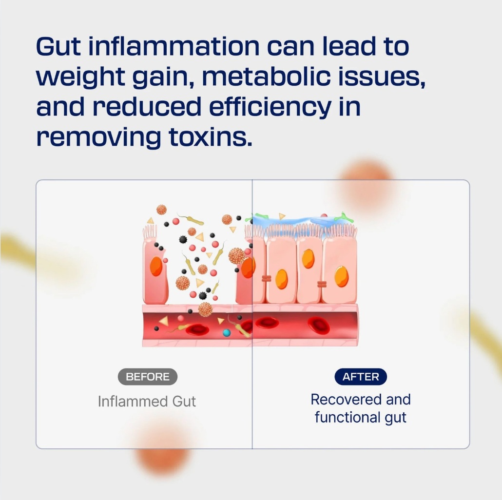 Ovalo Health Body Protection Compound (BPC-157)